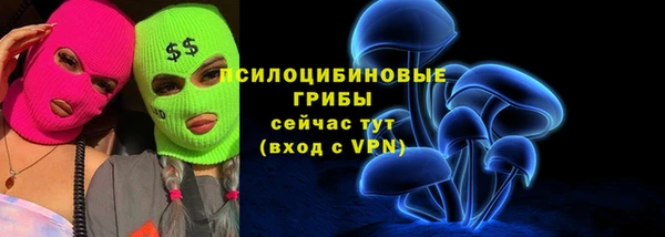 PSILOCYBIN Верхний Тагил