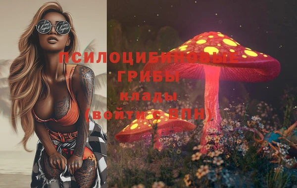 PSILOCYBIN Верхний Тагил