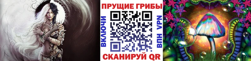 Галлюциногенные грибы мухоморы  продажа наркотиков  Калининск 