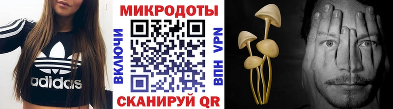 Псилоцибиновые грибы Cubensis Калининск